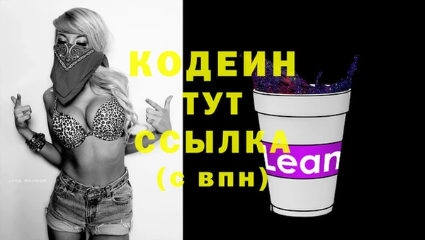 прущие грибы Нягань