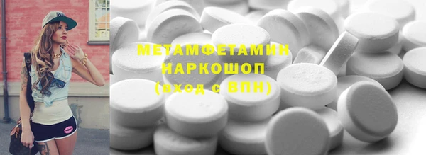 гидра Няндома
