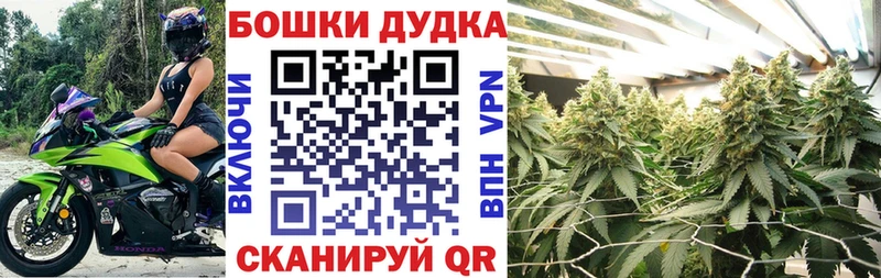 Канабис план  Новосиль 